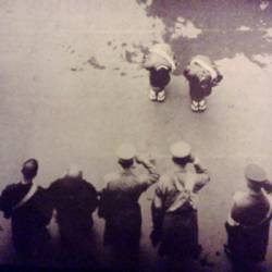 Trophywife : Live at The Fort - 3-11-12